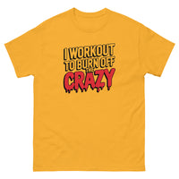 Load image into Gallery viewer, I workout to burn off the crazy T-Shirt
