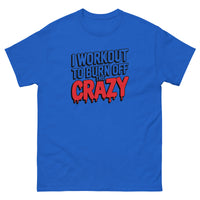 Load image into Gallery viewer, I workout to burn off the crazy T-Shirt
